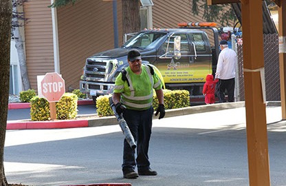 Sweeping Includes Leaf Blowing Debris to the Center for our Trucks