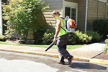 Sweeping and Blowing Leaves